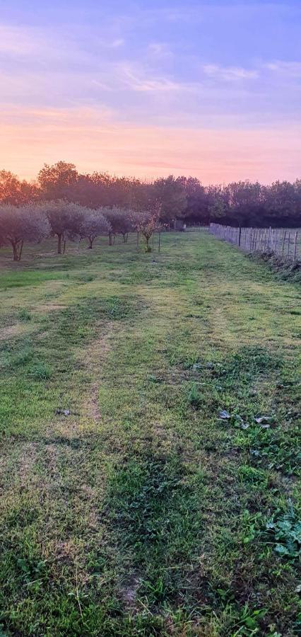 Les Bonbonnettes Bed and Breakfast Le Cailar Εξωτερικό φωτογραφία